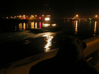 Mr Monkey looking at a boat sailing through Ostende harbour at night