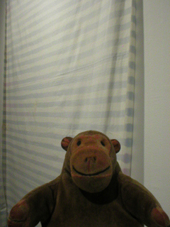 Mr Monkey in front Lee Kit's picnic blanket