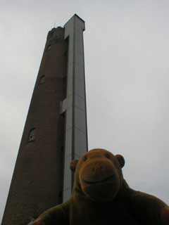 Mr Monkey looking up at the Chester shot tower