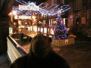 Mr Monkey looking at the Christmas tree at the Cross