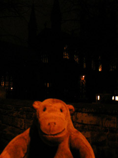 Mr Monkey looking at the unlit side of Chester Cathedral from the walls