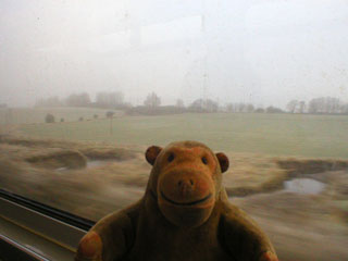 Mr Monkey looking at mist-shrouded fields from the train
