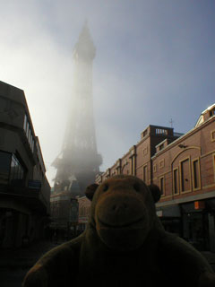 Mr Monkey looking up at Blackpool Tower