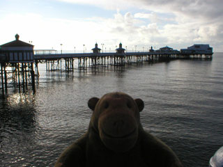 Mr Monkey looking at the North Pier