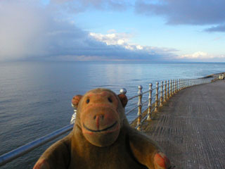Mr Monkey looking out to sea