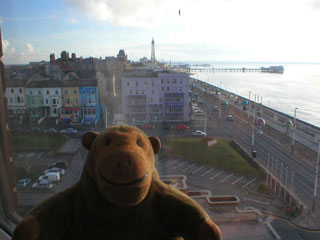 Mr Monkey looking at Blackpool from his hotel room