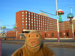 Mr Monkey looking at the Hilton hotel from the promenade
