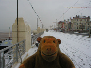 Mr Monkey looking at the snow covered promenade