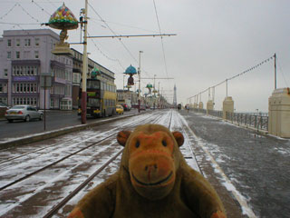 Mr Monkey looking at the remains of the snow on the promenade