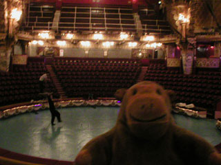 Mr Monkey looking at the circus ring