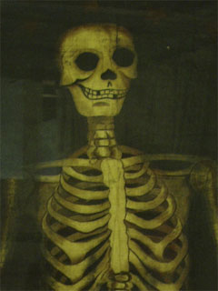 Detail of the Tin Plate Worker's Society skeleton banner