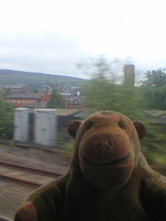 Mr Monkey looking down on Stalybridge