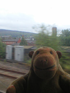 Mr Monkey looking down on Stalybridge