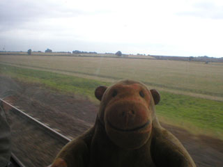 Mr Monkey looking at large fields around Church Fenton