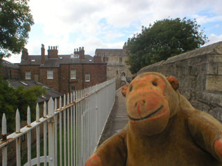 Mr Monkey walking along the York city walls