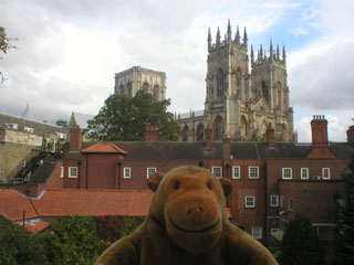 Mr Monkey looking at York Minster from the city walls