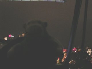 Mr Monkey in the dark on the Ferris wheel