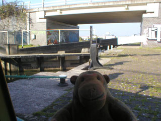Mr Monkey looking at the Pomona lock