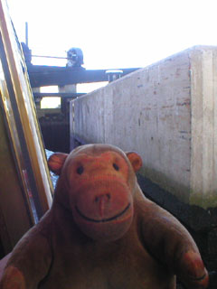 Mr Monkey looking out of the boat as it starts to descend