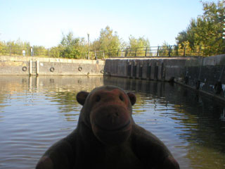 Mr Monkey looking around Dock No. 3