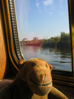 Mr Monkey looking at the canal bank around Pomona