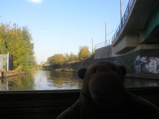 Mr Monkey looking along the Bridgewater Canal towards Manchester