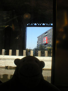 Mr Monkey looking at the Potato Wharf development