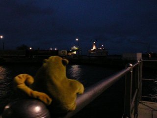 Mr Monkey watching a ferry in the dark