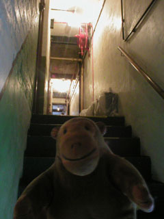 Mr Monkey on the narrow steps up to the Projection Room