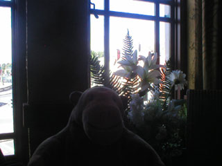 Mr Monkey by an window in the café