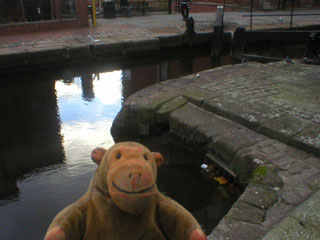 Mr Monkey looking at the drain from the Rochadale Canal into the Tib