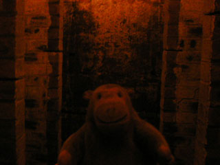 Mr Monkey looking around one of the toilet blocks in the shelter