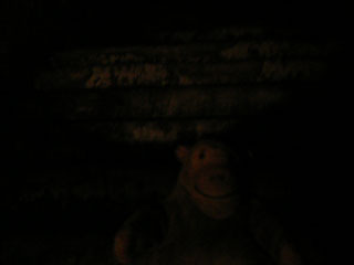 Mr Monkey on the steps beneath one of the blocked exits