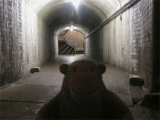 Mr Monkey in the tunnel to the exit stairs
