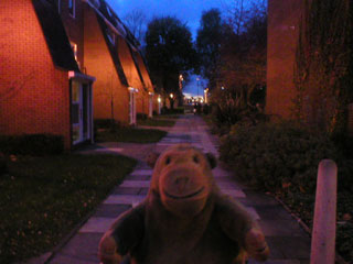 Mr Monkey looking down Camp Street at dusk