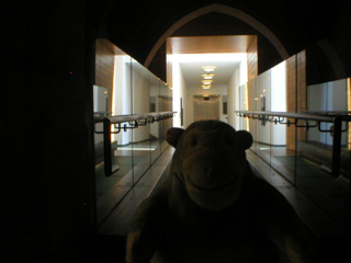 Mr Monkey looking back into the new building from the cloister