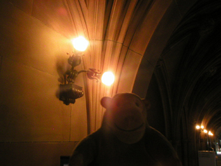 Mr Monkey examining the light fittings in the cloister