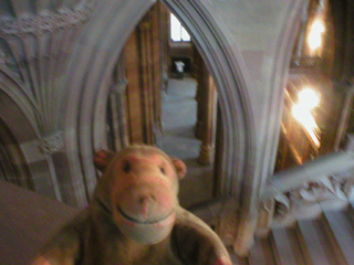 Mr Monkey looking down on the Entrance Hall from the stairs to the reading room