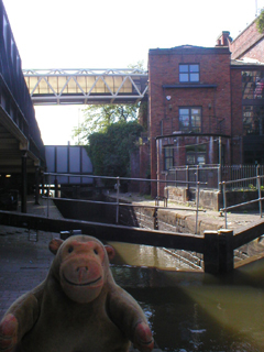 Mr Monkey looking at Lock 91