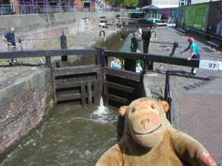 Mr Monkey watching the narrowboat descend into Lock 87