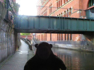 Mr Monkey looking up at the bridge to the Court