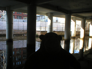 Mr Monkey looking at the remains of the canal arm and the building site next to the Piccadilly tunnel