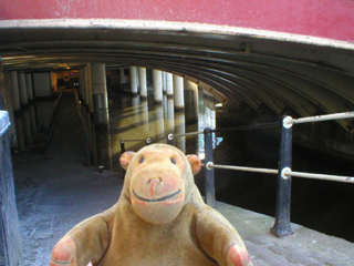 Mr Monkey looking down the slope into the tunnel