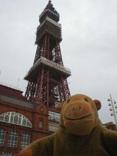 Mr Monkey looking up at Blackpool Tower