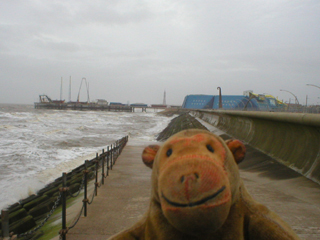 Mr Monkey watching the waves break below the South Promenade