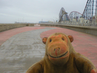 Mr Monkey looking at the tiled path along the prom