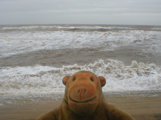 Mr Monkey watching the waves break on the beach at Blackpool