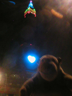 Mr Monkey looking up at Blackpool Tower in the dark