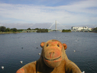 Mr Monkey looking at the bridges over the Marine Lake
