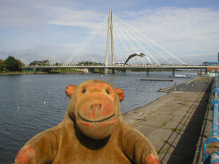 Mr Monkey dodging a seagull beside the Marine Lake